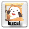 lascal